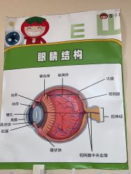 -番小茄小儿推拿(望京店)