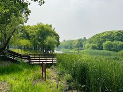 -新江湾城公园