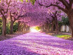-桃花涧