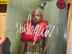 -独音唱片 Indie Music