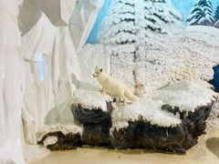 -长沙海底世界