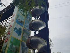 -欢乐松鼠谷