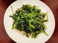 蒜蓉茼蒿-林之六八·6886大连老菜馆