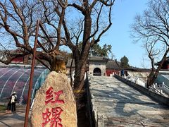 -红螺寺