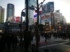 -涩谷区