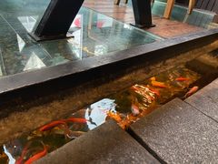 -颐和•海鲜砂锅粥•啫啫煲(奥林匹克广场店)