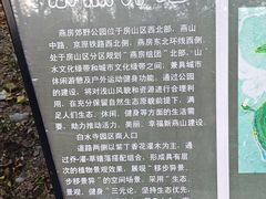 -白水寺森林公园