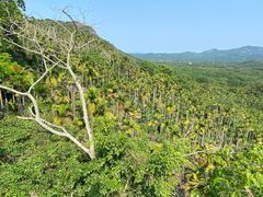 -海南白石岭旅游区