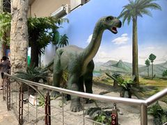 -国家自然博物馆