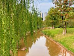 -沐仙湖湿地公园