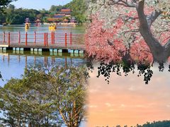 -珠海圆明新园