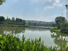 -枫香湖儿童公园
