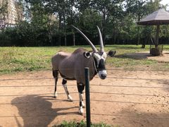 -大连森林动物园