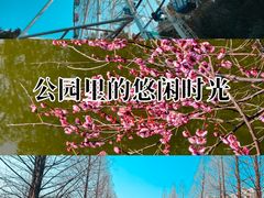 -峙山公园