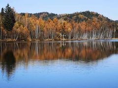 -五营红松林海景区