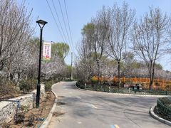 -太阳宫公园