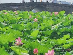 -鼓楼(西湖风景名胜区)