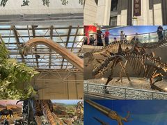 -国家自然博物馆