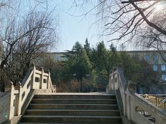 -黄村公园