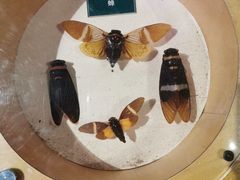 -陕西自然博物馆