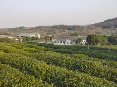 -中国茶叶博物馆(双峰馆区)