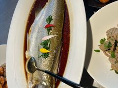 -醉庐·新上海菜(南京西路店)