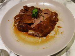 -MR鹅外
