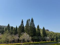 -威远炮台