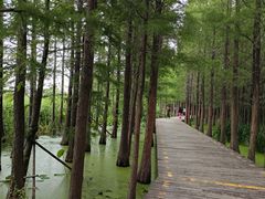 -云龙湖旅游景区
