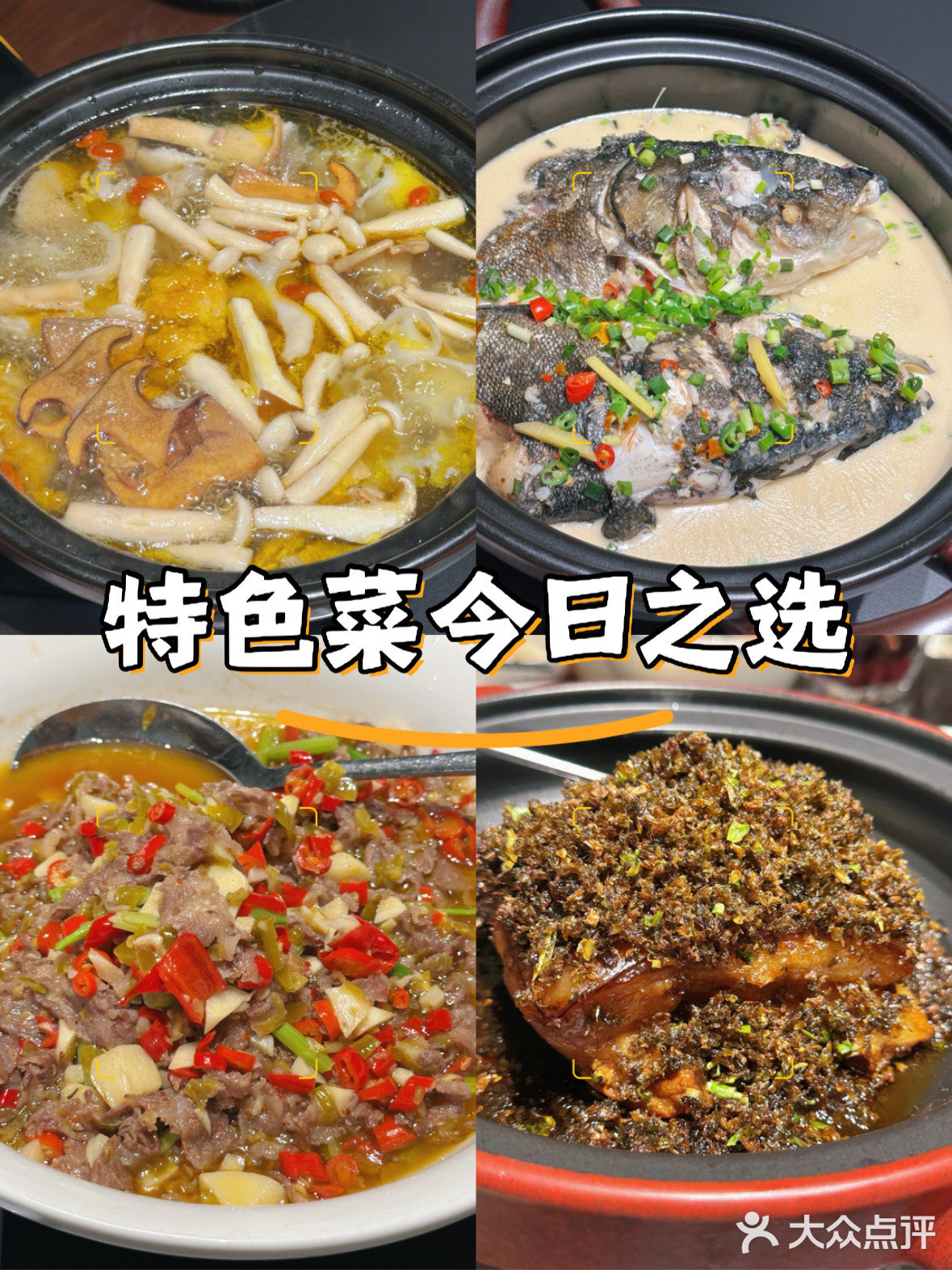 尝鲜美味佳肴咯