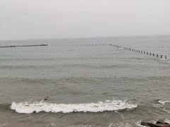 -八大关景区