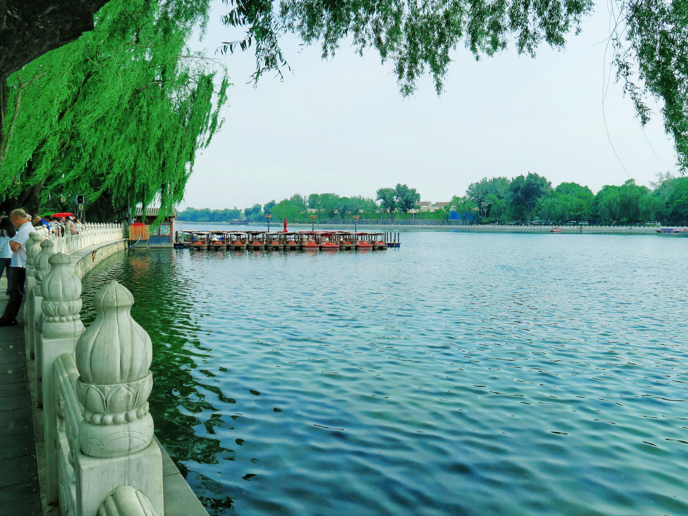 北京夏日7715|二环内,划船好去处[点赞]