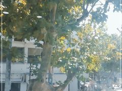-笃笃笃糖粥(十全街店)