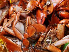 同安煎蟹-聪辉同安老美食饭店(大元路店)