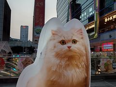 -福田卓悦INTOWN购物中心