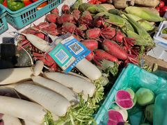 -雪绒花路停车场