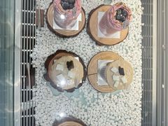 -UP阿噗甜品