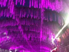 -婺源梦里老家大型山水实景演出