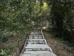 -天鹿湖森林公园