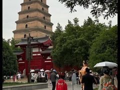 -大唐博相府酒店·陕西官府菜