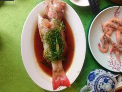 清蒸东星斑-盛港湾海鲜食府(黄沙店)