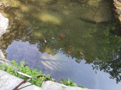 -北京上方山国家森林公园