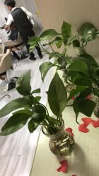 -起点潮色造型