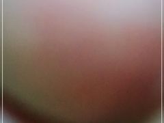 -鑫顺吉牛肉馆