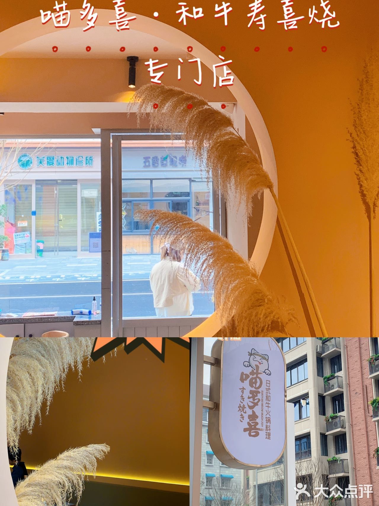 寿喜锅——大将喵多喜