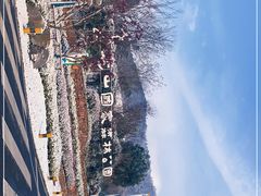 -南京老山国家森林公园