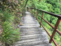 -白云源风景区