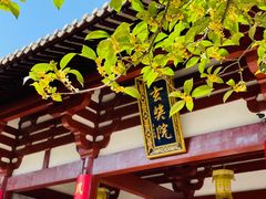 -灵谷景区