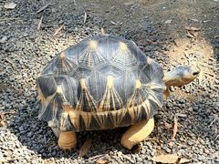 -可伦宾野生动物保护区