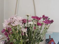 -爱尚幸福鲜花(上地实体店)